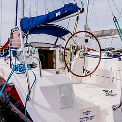 Maxus 33