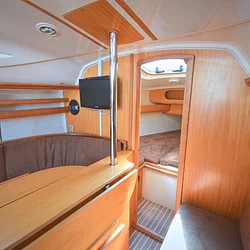 Maxus 33