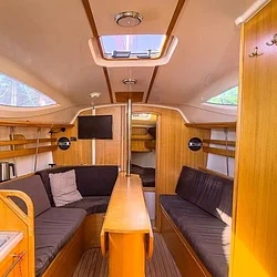 Maxus 33