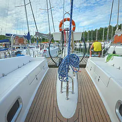 Maxus 33