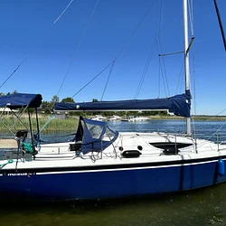 Maxus 33