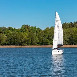 Maxus 34