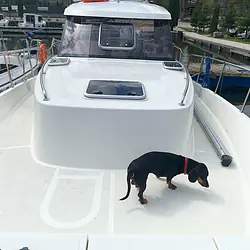 Nautika 830