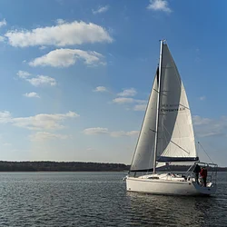 Odysseya S36