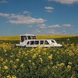 River Cruiser 39
