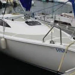 Sasanka 600 Viva