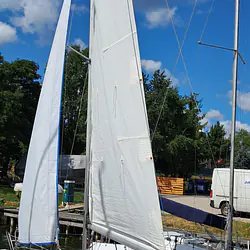 Sasanka 620