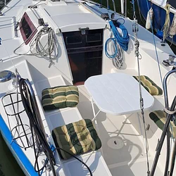 Sasanka 620