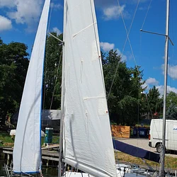 Sasanka 620