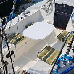 Sasanka 620