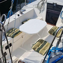Sasanka 620