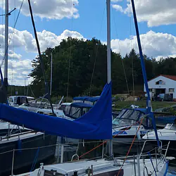 Sasanka 620