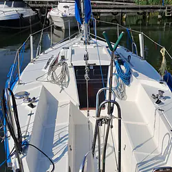 Sasanka 620