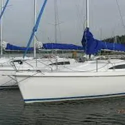 Sasanka 660 Supernova