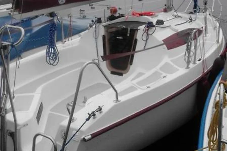 Czarter Sasanka 660 Supernova