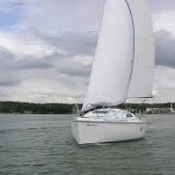 Sasanka 660 Supernova