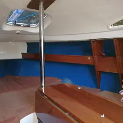 Sasanka 660 Supernova