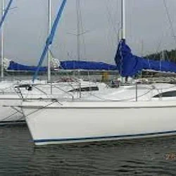 Sasanka 660 Supernova