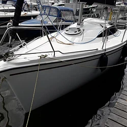 Sasanka 700 Viva