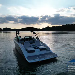 Sea Ray SDX 290