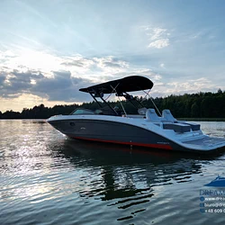 Sea Ray SDX 290