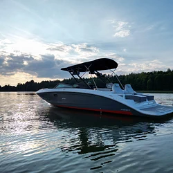 Sea Ray SDX 290