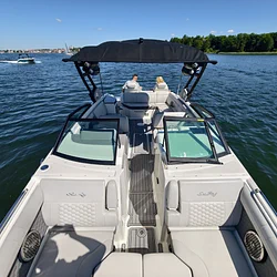 Sea Ray SDX 290