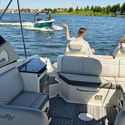 Sea Ray SDX 290