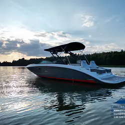 Sea Ray SDX 290