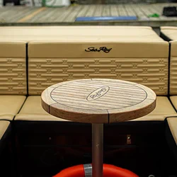 Sea Ray SPX 210