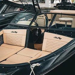 Sea Ray SPX 210