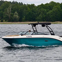 Sea Ray SPX 230