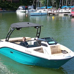 Sea Ray SPX 230