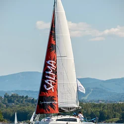 Sen 749