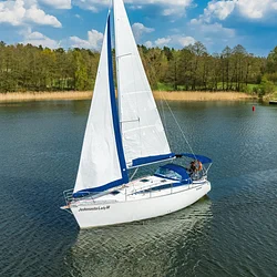 Tango 33