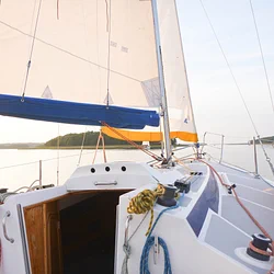 Tango 780 Sport