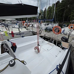 Twister 26