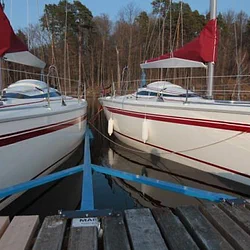 Twister 800n (Raptor 26)